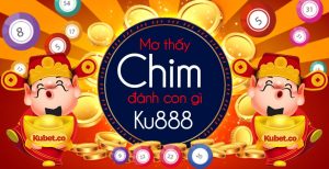 mo chim danh con gi