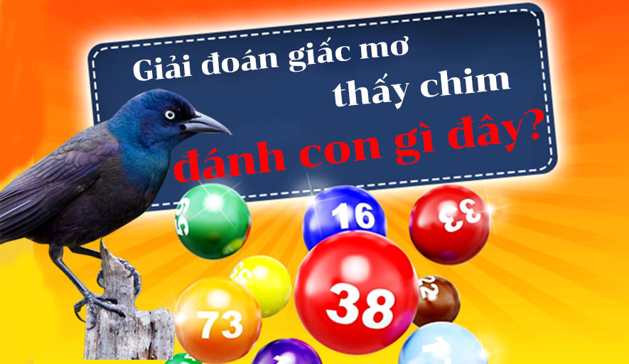 mo-thay-chim mo thay chim