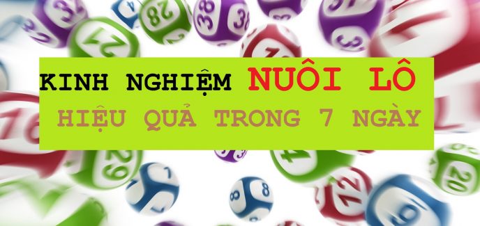 lô gan miền nam