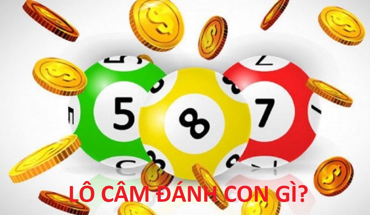 Lo cam danh con gi