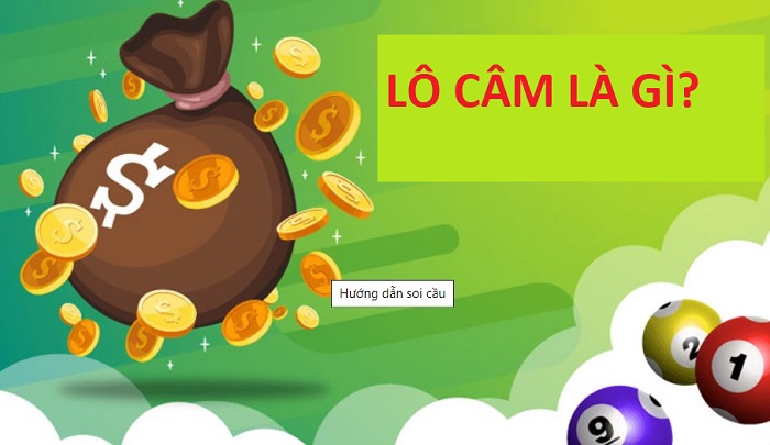lo cam la gi